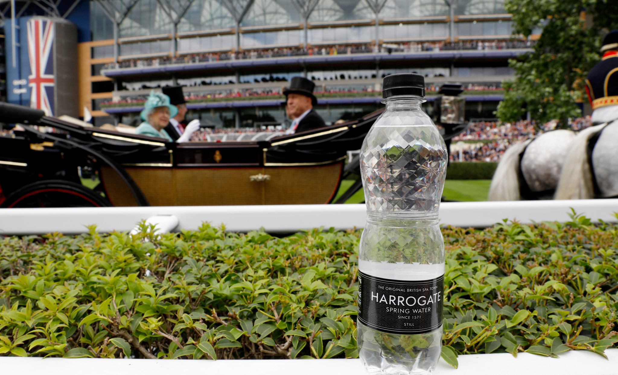 Harrogate Spring at Royal Ascot
